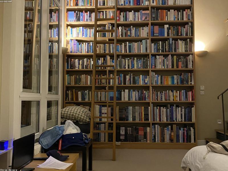 Illustration of shelves of published books